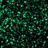 Glow in the dark MicaWall